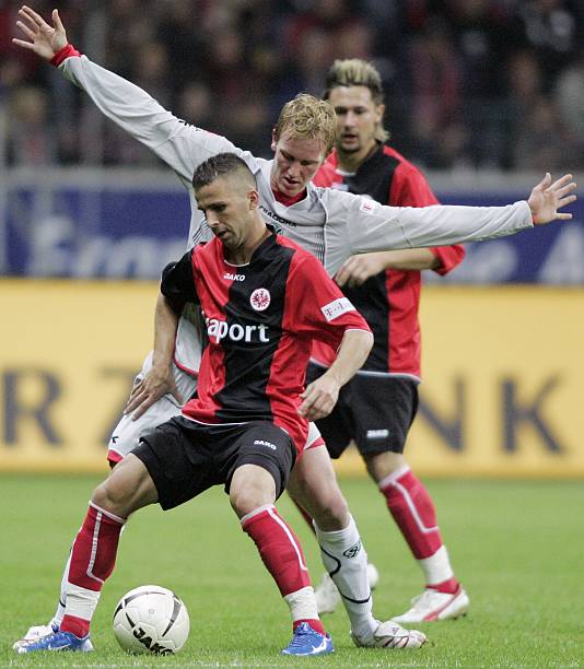 赢得了众多 赢得了众多